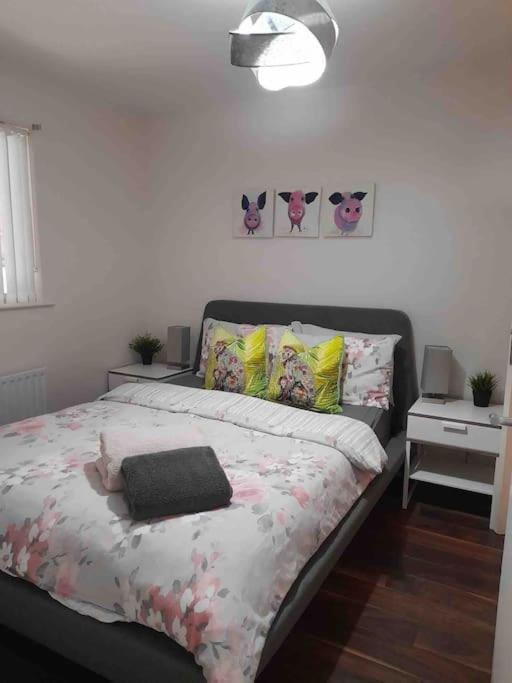 Belfast Apartment エクステリア 写真